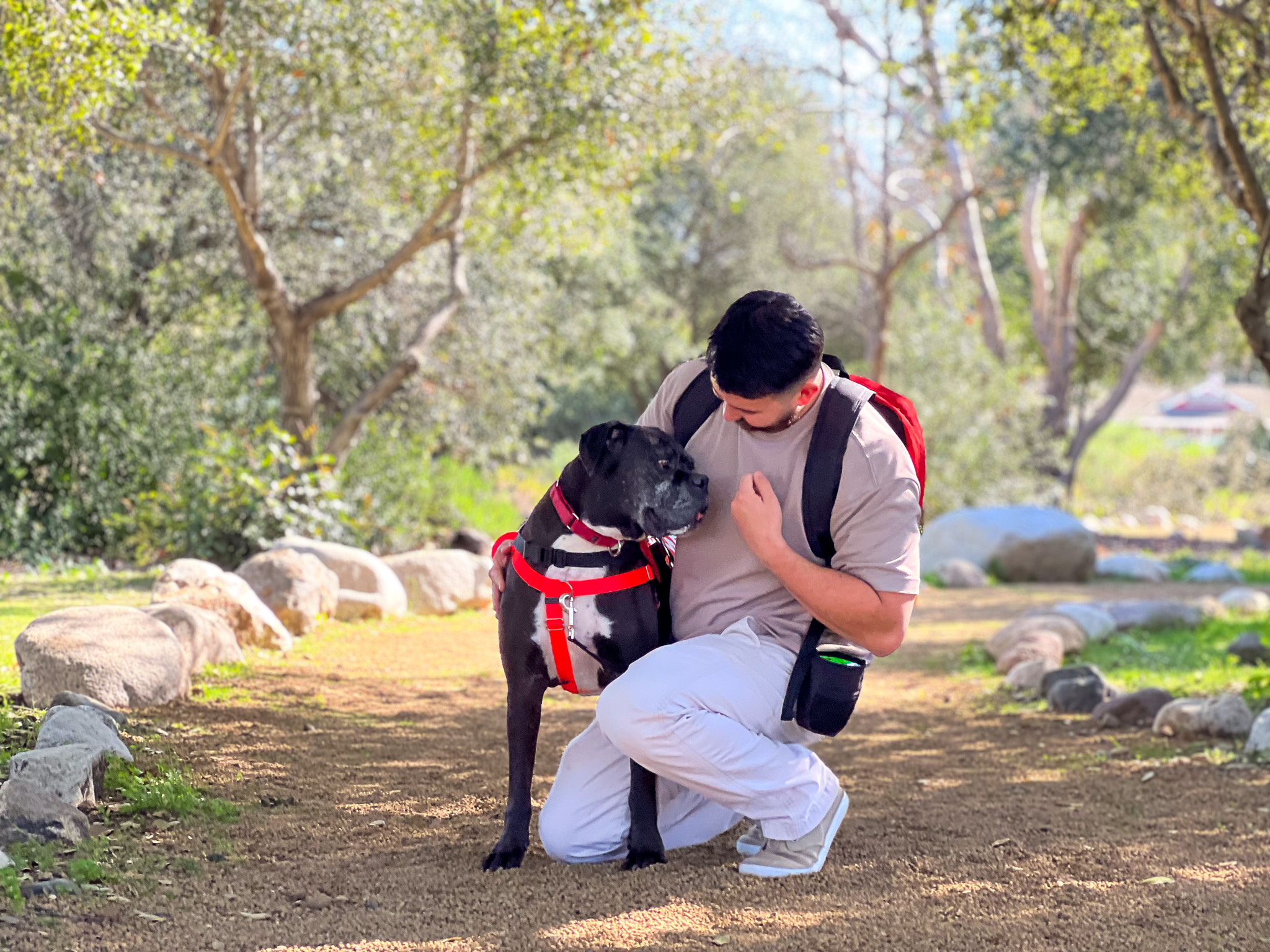 Dog's Day Out_Theodore and Mike_2