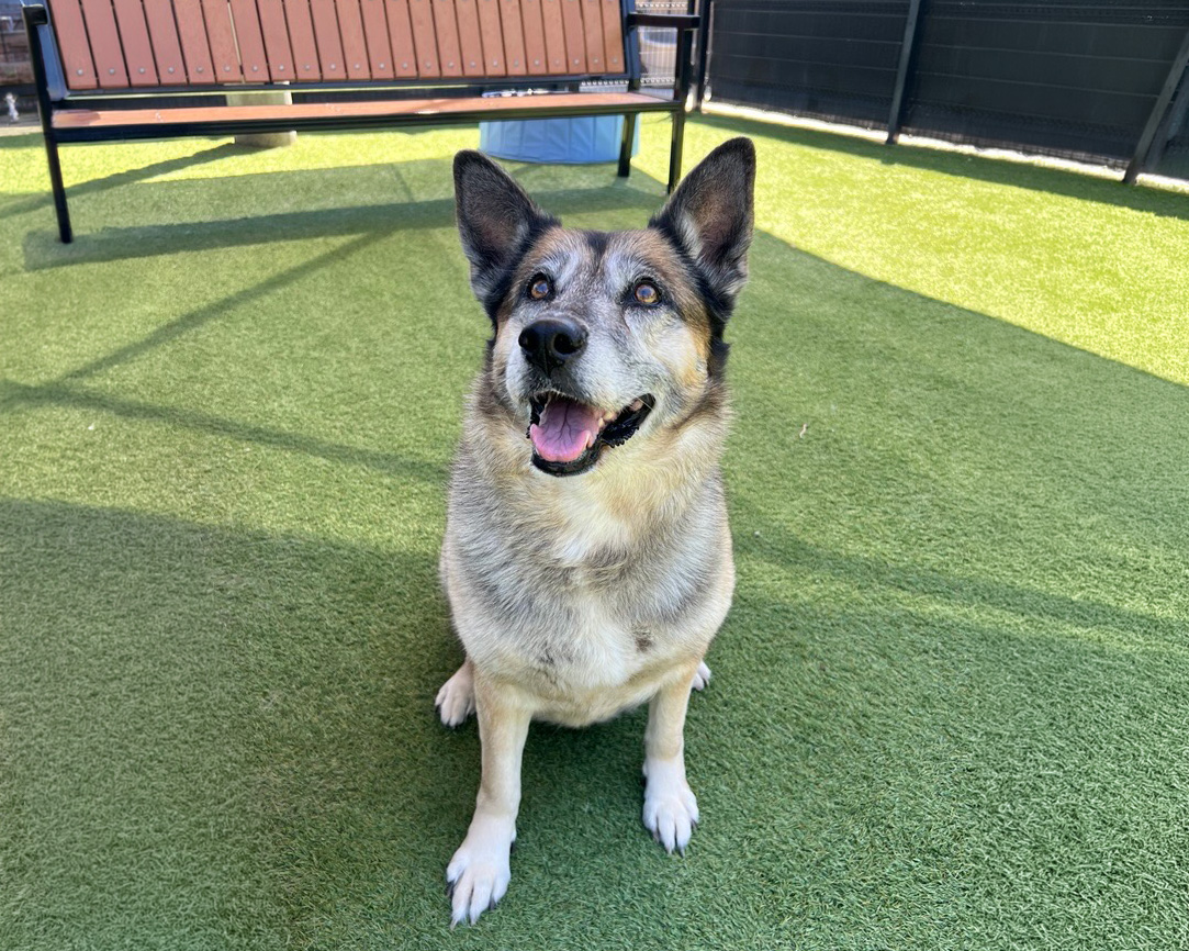 Bubbles sitting and smiling
