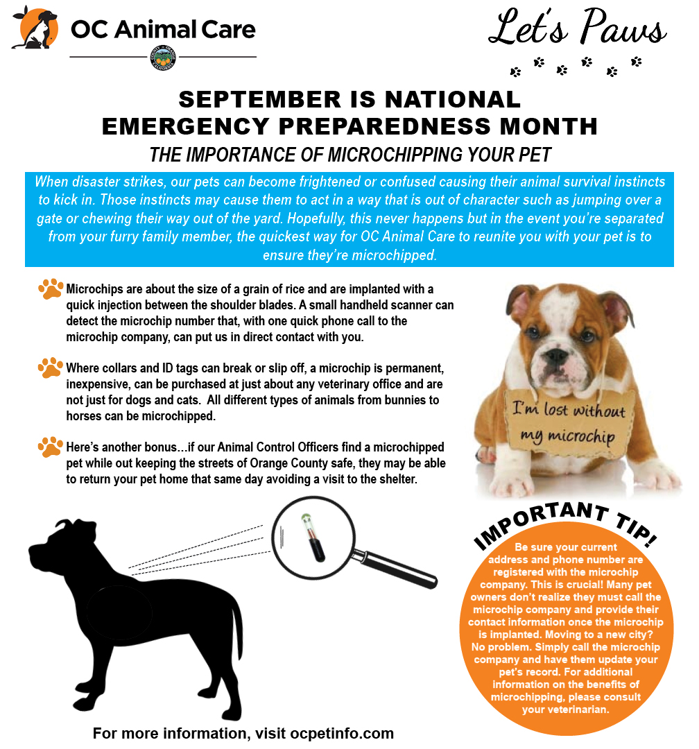 Let S Paws Oc Animal Care