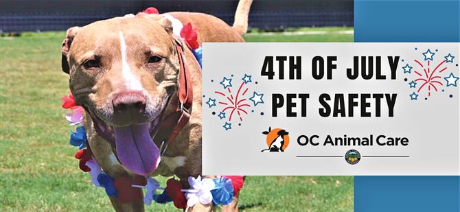 4th of July Pet Safety Tips | OC Animal Care