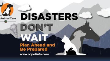 Disasters Don't Wait