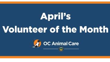 Volunteer of the Month