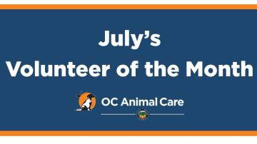 Volunteer of the Month