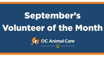 Volunteer of the Month