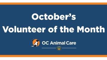 Volunteer of the Month