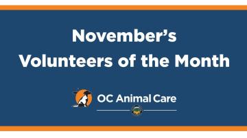 Volunteer of the Month