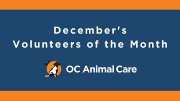 December Volunteers of the Month Banner