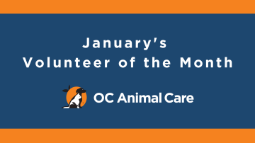 January 2023 Volunteer of the Month