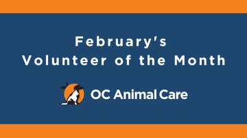 February 2023 Volunteer of the Month