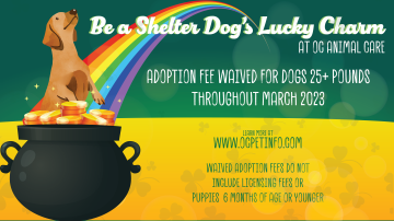March 2023 Adoption Promotion
