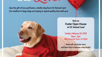 Foster Open House