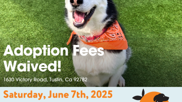 Ca Adopt-a-Pet Day June 2025