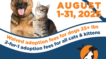 August CTS 2025 Adoption Promotion