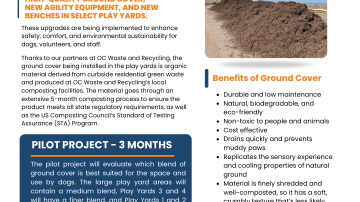 Ground Cover Image