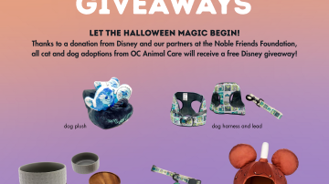 Disney Giveaway Oct 2025.png