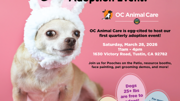 Spring into Love Adoption Event_3.28.26