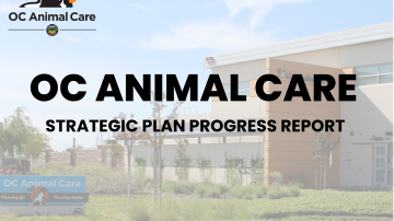 Strategic Plan News Cover Photo