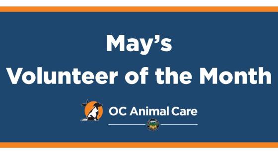 Volunteer of the Month