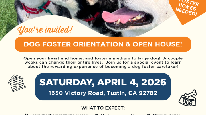 Dog Foster Open House and Orientation Saturday at OC Animal Care