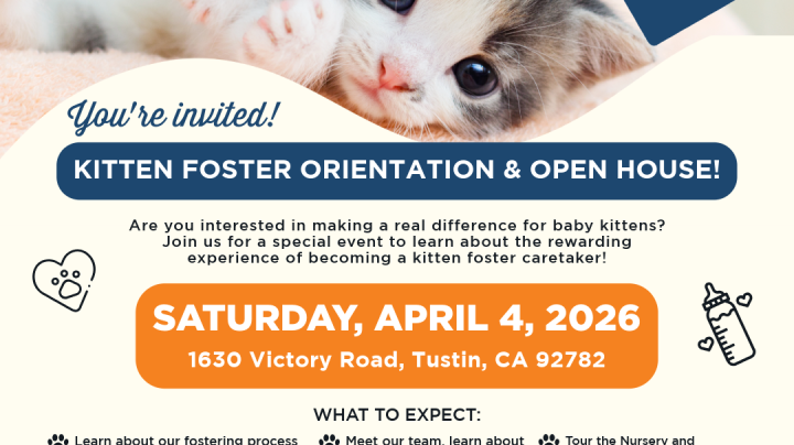 Kitten Foster orientation and open house at 11 a.m. Saturday