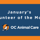 January 2023 Volunteer of the Month