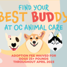 April 2023 Adoption Promotion
