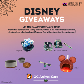 Disney Giveaway Oct 2025.png