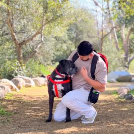 Dog's Day Out_Theodore and Mike_2