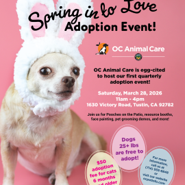 Spring into Love Adoption Event_3.28.26