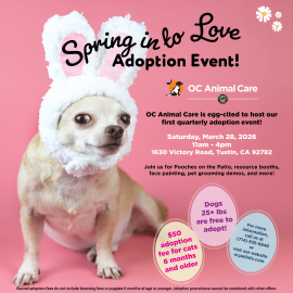 Spring into Love Adoption Event_3.28.26