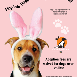 Hop Into Happiness at OC Animal Care