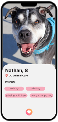 Nathan (A1754031)