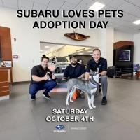 Subaru Orange Coast Adoption Event_11.4.25