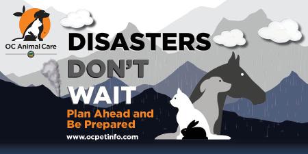 Disasters Don't Wait