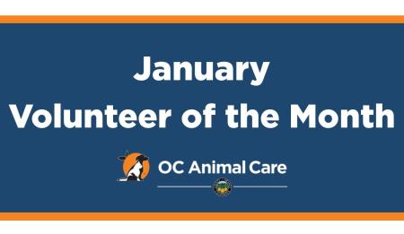 Volunteer of the Month: Kat Cassidy! | OC