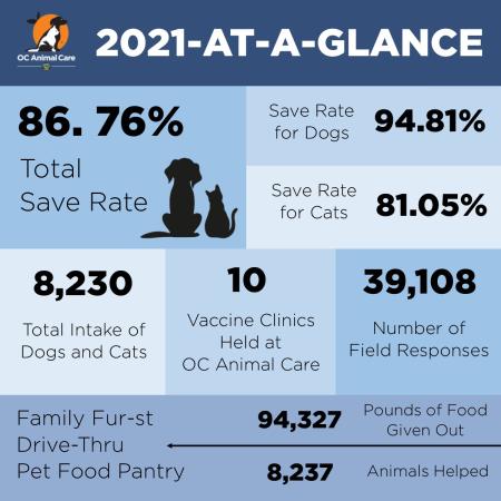 2021 At A Glance