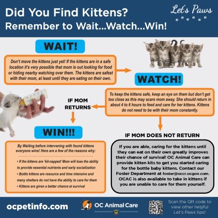 wait, watch, win