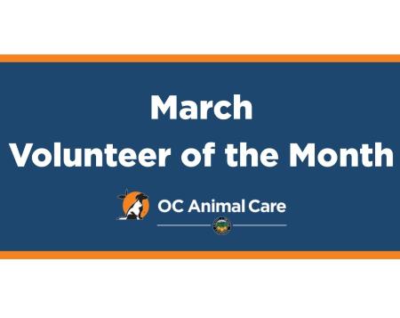 Volunteer of the Month