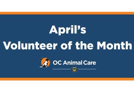 Volunteer of the Month