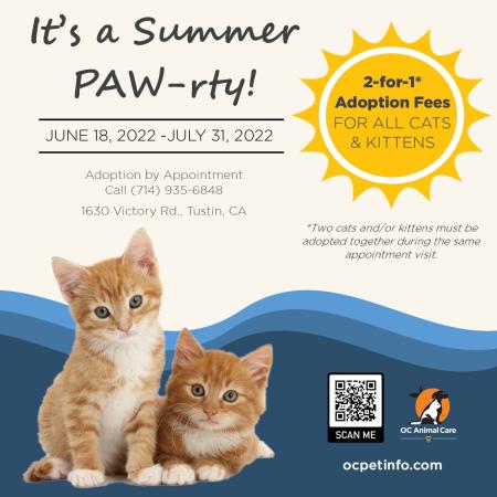 Summer PAW-rty Cats
