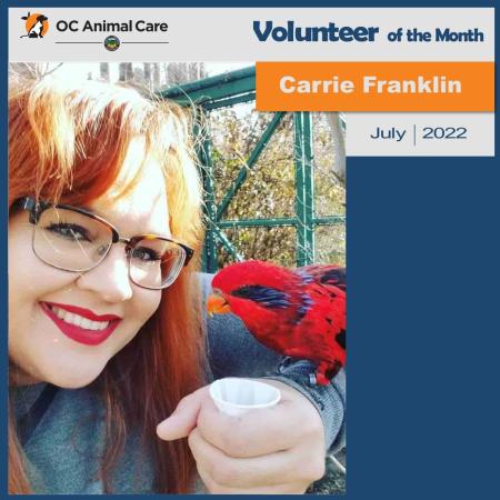 Volunteer of the Month