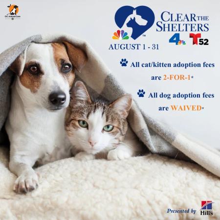 Clear the Shelters 