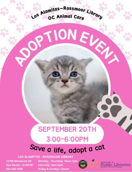 Kitten Adoption Event