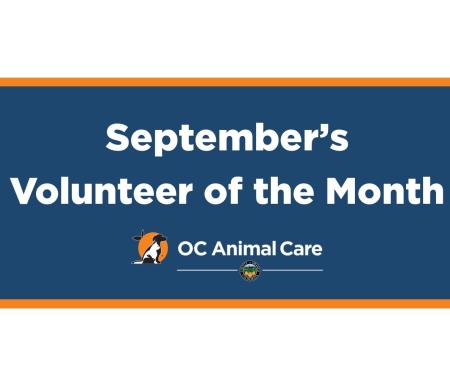 Volunteer of the Month