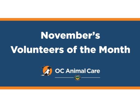 Volunteer of the Month