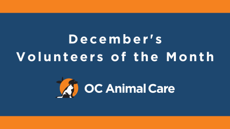 December Volunteers of the Month Banner