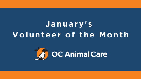 January 2023 Volunteer of the Month