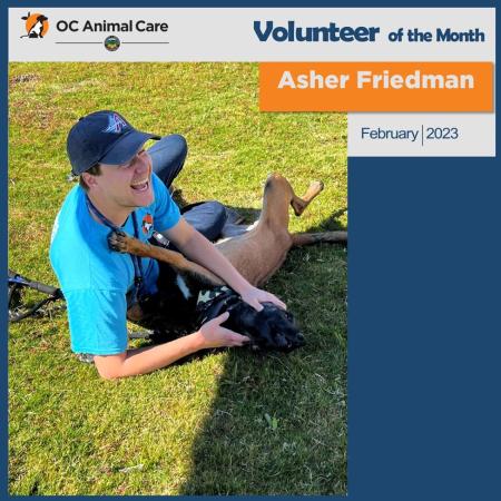 Asher Friedman