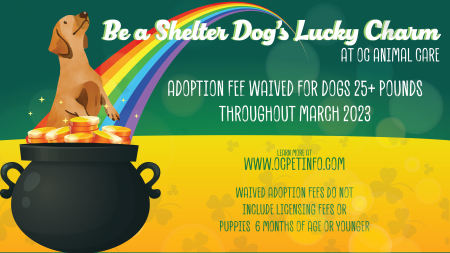 Be a Shelter's Dog Lucky Charm at OC Animal Care Adoption Promotion | OC Animal Care Be a Shelter's Dog Lucky Charm at OC Animal Care Adoption Promotion | OC Animal Care