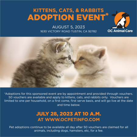 Cats, Kittens, and Rabbits Adoption Event 8.5.2023